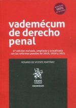 VADEMECUM DE DERECHO PENAL 7ª EDICION REVISADA, AMPLIADA Y A