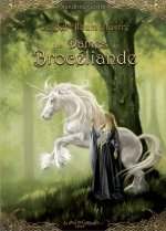 Le bel album illustré des Dames de Brocéliande