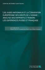 Les juges nationaux et la Convention européenne des droits de l'homme
