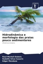 Hidrodinâmica e morfologia das praias pouco sedimentares