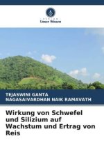 Wirkung von Schwefel und Silizium auf Wachstum und Ertrag von Reis