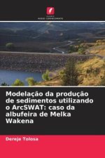 Modelação da produção de sedimentos utilizando o ArcSWAT: caso da albufeira de Melka Wakena