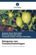 Düngung von Tomatensetzlingen