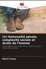 (Ir) Rationalité pénale, complexité sociale et droits de l'homme