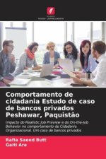 Comportamento de cidadania Estudo de caso de bancos privados Peshawar, Paquistão