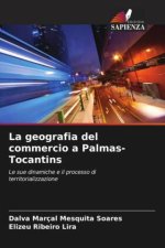 La geografia del commercio a Palmas-Tocantins