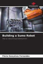 Building a Sumo Robot