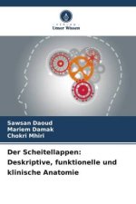 Der Scheitellappen: Deskriptive, funktionelle und klinische Anatomie