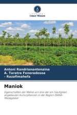 Maniok