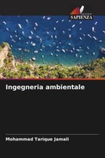 Ingegneria ambientale