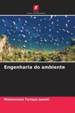 Engenharia do ambiente
