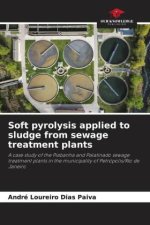 Soft pyrolysis applied to sludge from sewage treatment plants