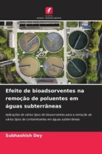 Efeito de bioadsorventes na remoção de poluentes em águas subterrâneas