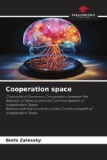 Cooperation space
