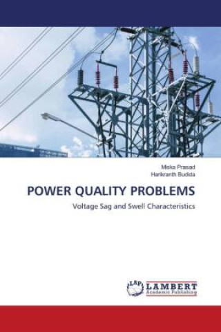 POWER QUALITY PROBLEMS