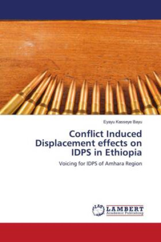 Conflict Induced Displacement effects on IDPS in Ethiopia