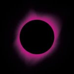 Scope Neglect (Ltd. CD)
