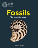 Natural History Museum Guide to Fossils