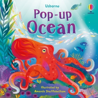 Pop-up Ocean (Lizzie Cope)()