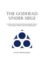The Godhead Under Siege