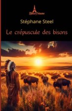Le crépuscule des bisons