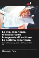 La mia esperienza didattica come insegnante di scrittura: La settima esperienza
