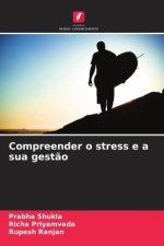 Compreender o stress e a sua gest?o