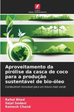 Aproveitamento da pirólise da casca de coco para a produç?o sustentável de bio-óleo