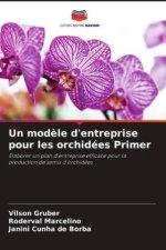 Un mod?le d'entreprise pour les orchidées Primer