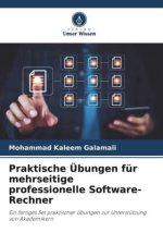 Praktische Übungen für mehrseitige professionelle Software-Rechner