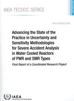 Advancing the State of the Practice in Uncertainty and Sensitivity Methodologies for Severe Accident Analysis in Water Cooled Reactors of Pwr and Smr