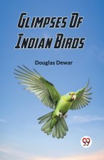 Glimpses Of Indian Birds