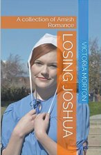 Losing Joshua A Collection of Amish Romance