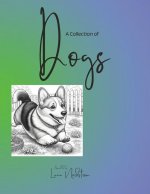 A Collection of Dogs