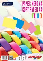 Papier Xero. A4 100 kartek. 5 kolorów Fluo.