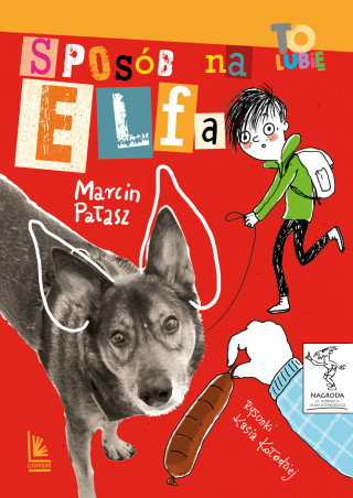 Sposób na Elfa (Pałasz Marcin)(Miękka)