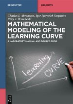 Mathematical Modeling of the Learning Curve