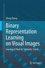 Binary Representation Learning on Visual Images