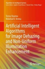 Artificial Intelligent Algorithms for Image Dehazing and Non-Uniform Illumination Enhancement
