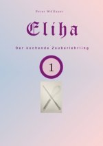 Eliha der kochende Zauberlehrling