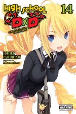 HIGH SCHOOL DXD V14