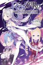 RE:ZERO STARTING LIFE IN ANOTHER V01