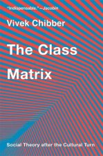 The Class Matrix – Social Theory after the Cultural Turn
