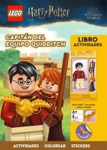 LEGO HARRY POTTER HARRY POTTER WITH QUIDDITCH ACCESORIES