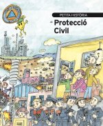 PETITA HISTORIA DE LA PROTECCIO CIVIL
