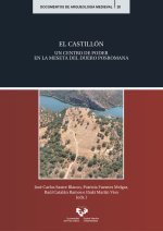 EL CASTILLON UN CENTRO DE PODER EN LA MESETA DEL DUERO POSR