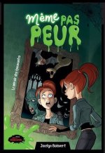 LE MIROIR DES EPOUVANTES