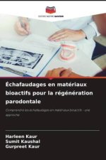 Échafaudages en matériaux bioactifs pour la régénération parodontale
