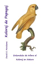 Koloroj de Papagoj
