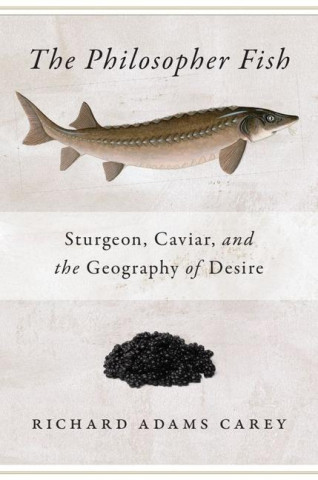 Philosopher Fish
